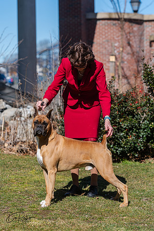 20240303-DSC02504