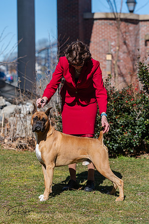 20240303-DSC02505