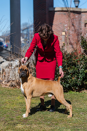 20240303-DSC02506