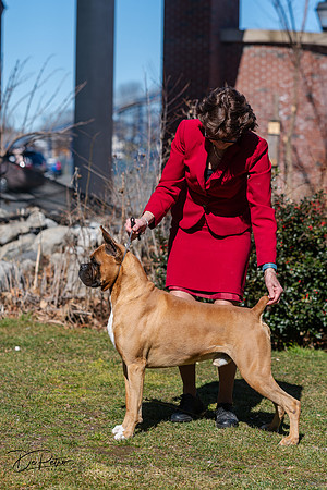20240303-DSC02486
