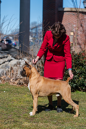 20240303-DSC02487