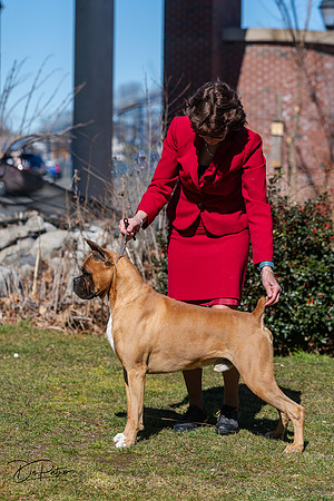 20240303-DSC02489