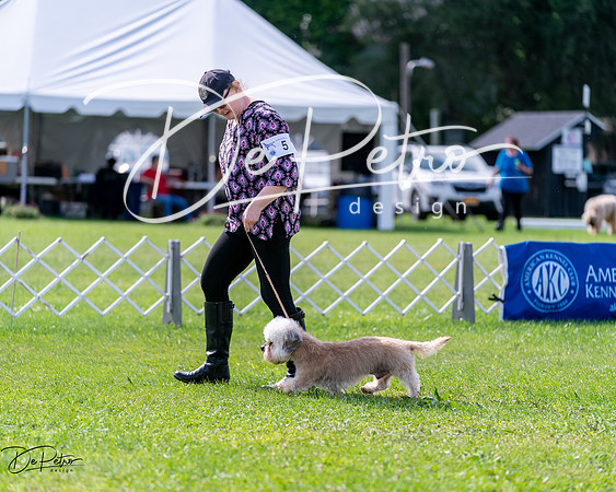 20240630-DSC03639