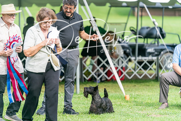 20240630-DSC05712