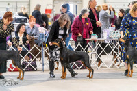 20240302-DSC04213