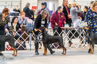20240302-DSC04215