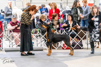 20240302-DSC04232
