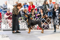 20240302-DSC04233