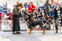 20240302-DSC04235