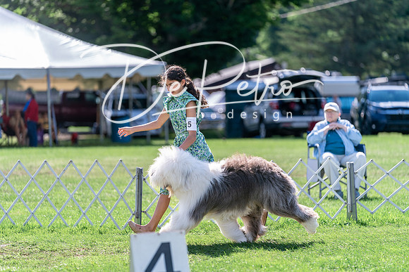 20240630-DSC04741