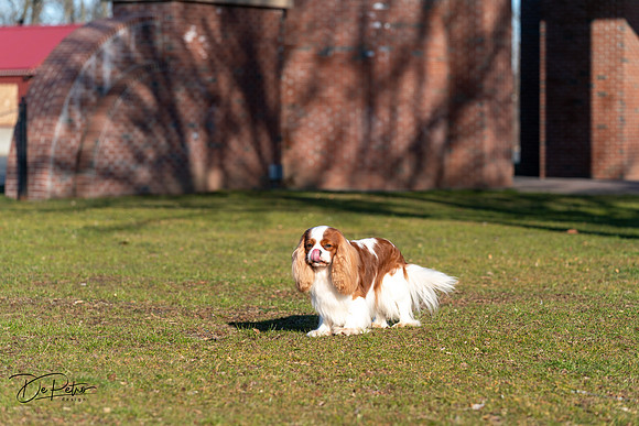 20240303-DSC08437