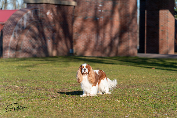 20240303-DSC08436