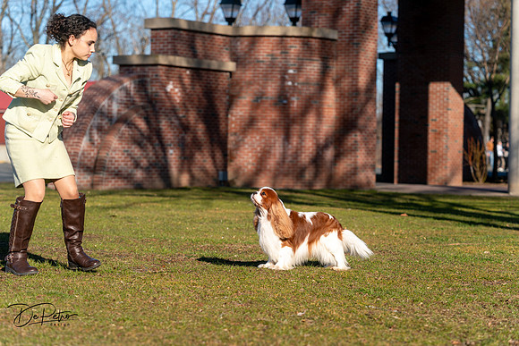 20240303-DSC08442