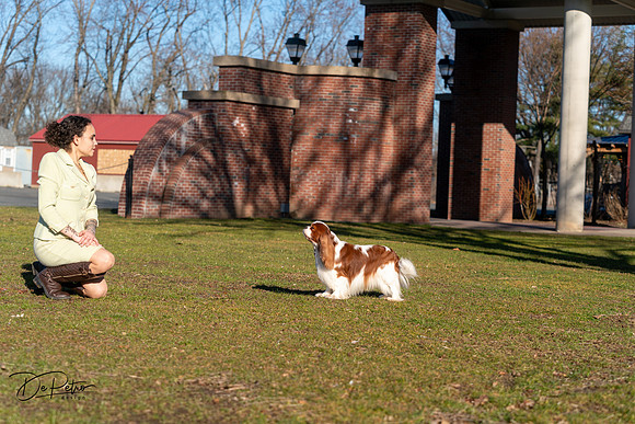 20240303-DSC08449