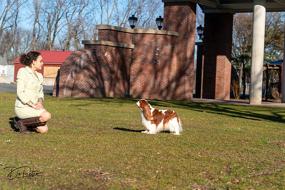 20240303-DSC08450