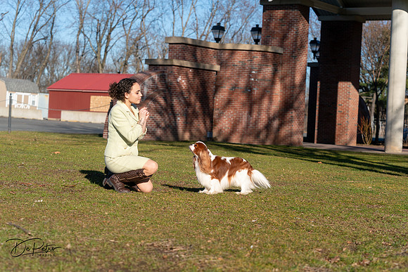 20240303-DSC08454