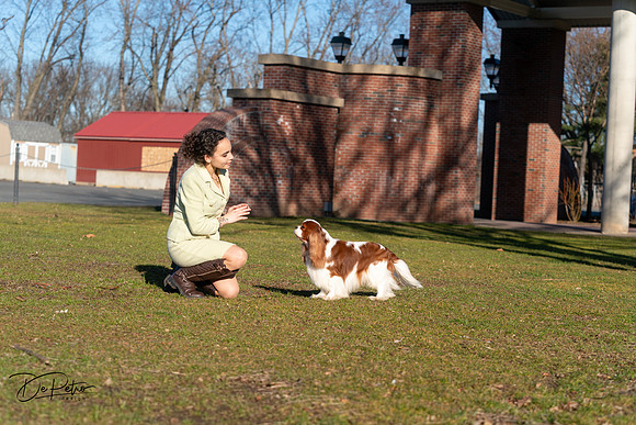 20240303-DSC08455