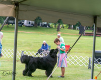 20250626-DSC04134