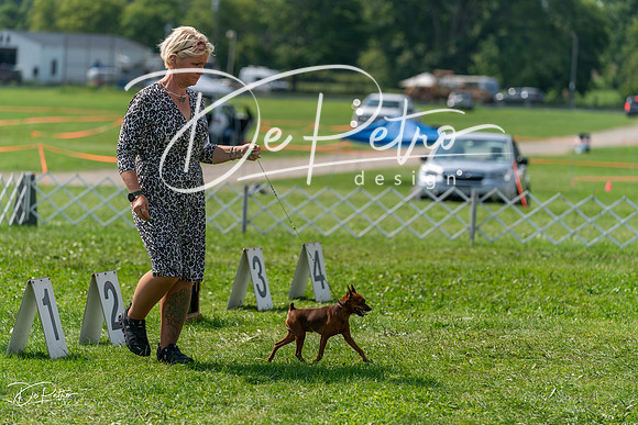 20240816-DSC00341