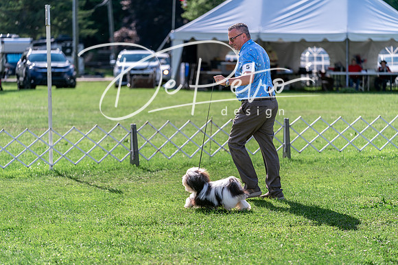 20240630-DSC05134