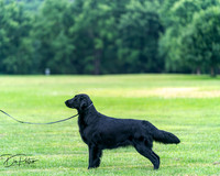 20250627-DSC06835