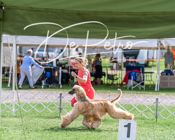 20240815-DSC06786