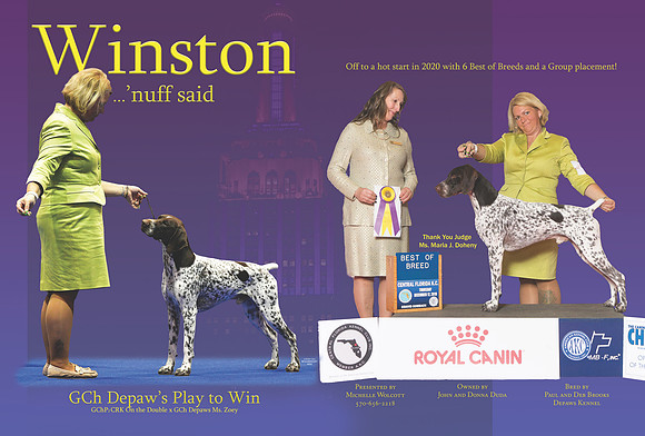 winston wck