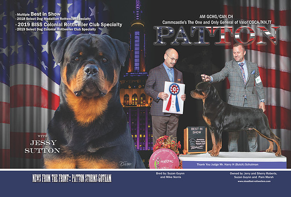 Patton wkc ibc
