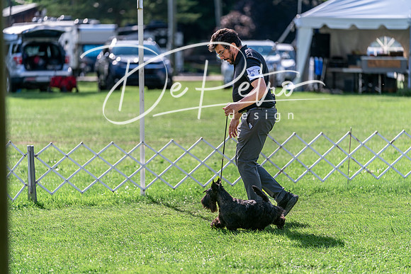 20240630-DSC05122