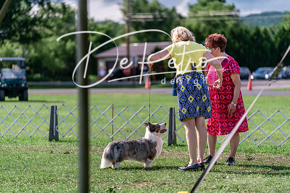 20240630-DSC04938