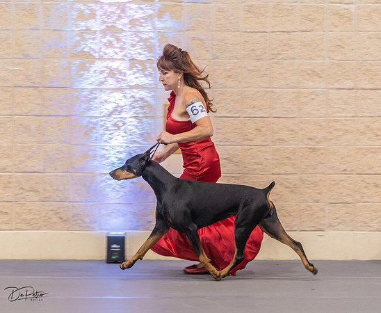 20211014-DSC02668