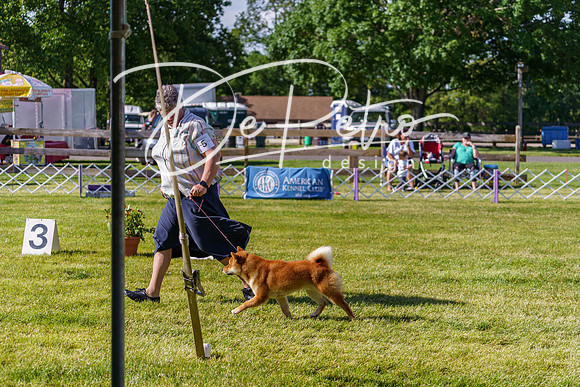 20190524-DSC09438