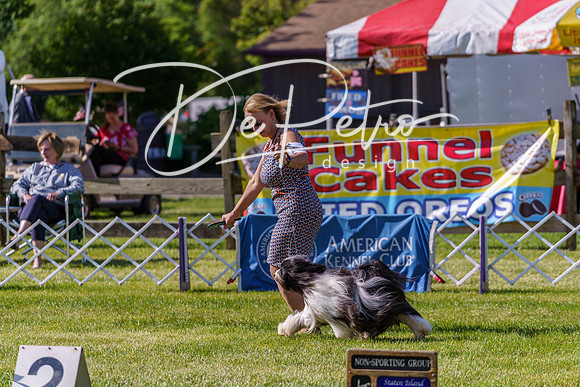 20190524-DSC09417