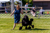 20190524-DSC09299