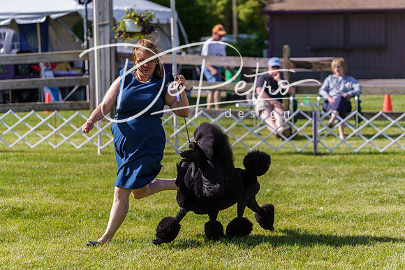 20190524-DSC09299