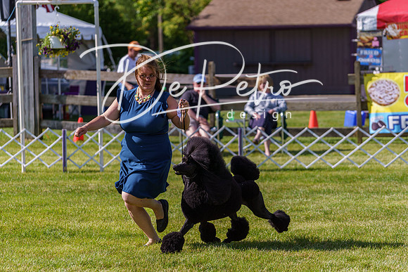 20190524-DSC09297