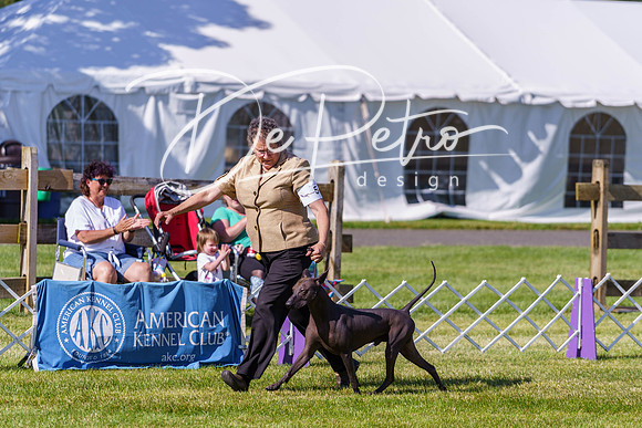 20190524-DSC09352