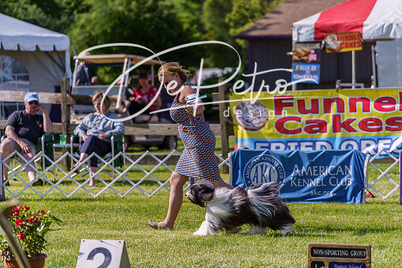 20190524-DSC09419