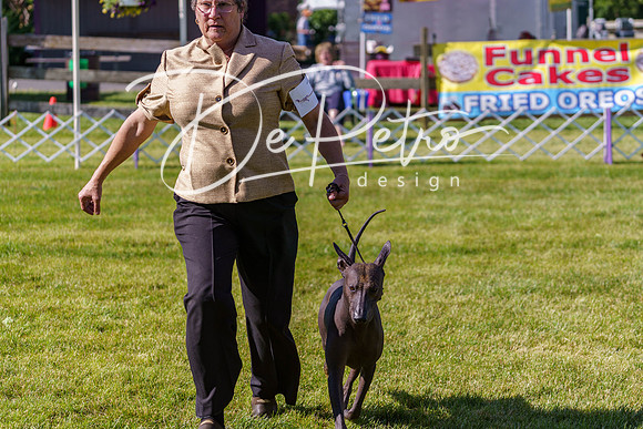 20190524-DSC09359