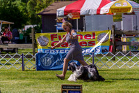 20190524-DSC09415