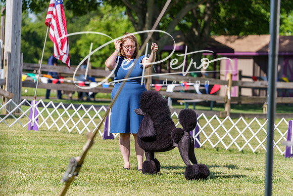 20190524-DSC09295
