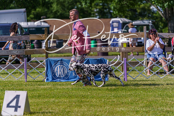 20190524-DSC09273