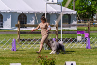 20190524-DSC09380