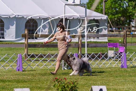 20190524-DSC09380