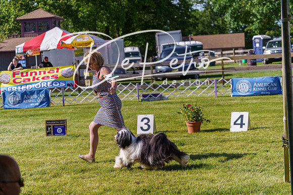 20190524-DSC09395