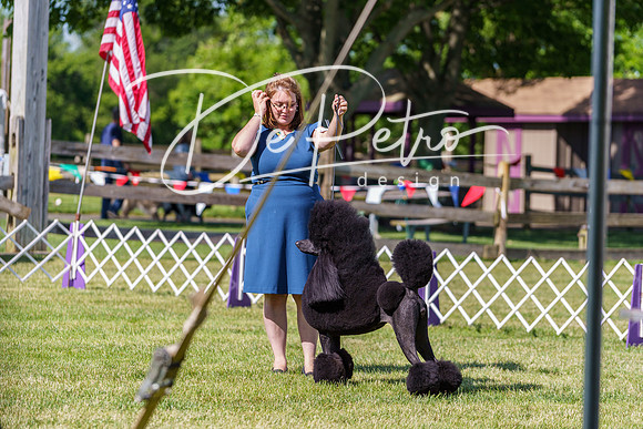 20190524-DSC09294