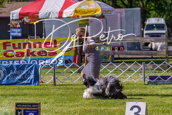 20190524-DSC09411