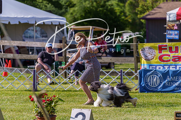 20190524-DSC09421