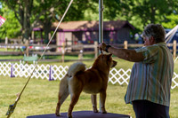 20190524-DSC09425