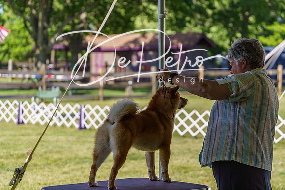 20190524-DSC09425